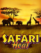 สัมผัสความตื่นเต้นกับล กหม พ มญาดา sbobet